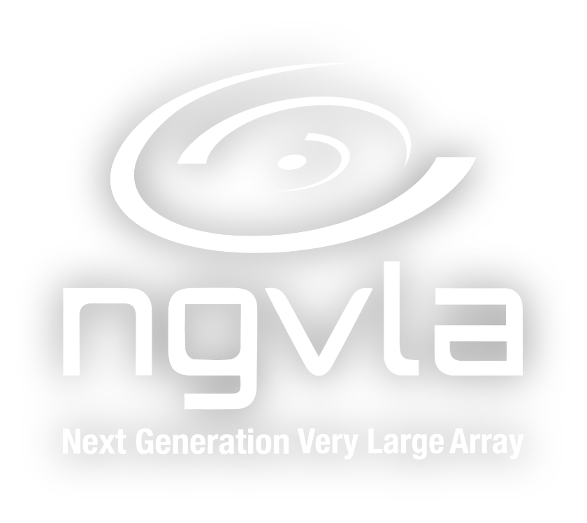 ngVLAロゴ